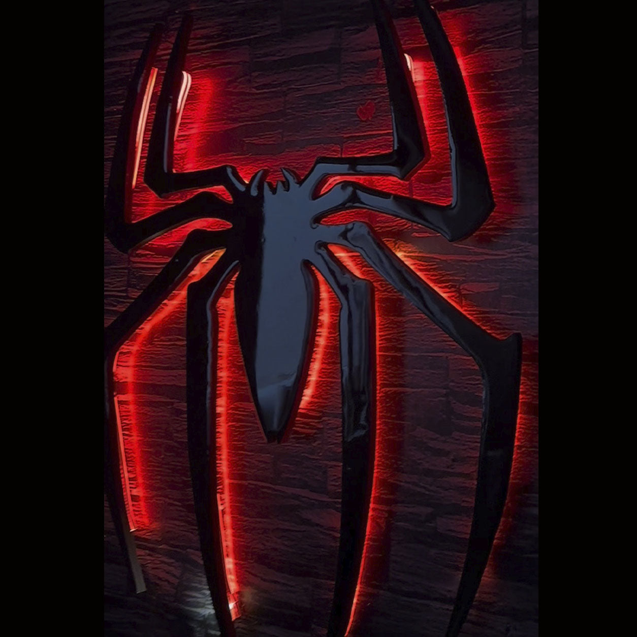 SPIDER - 60X40 CM