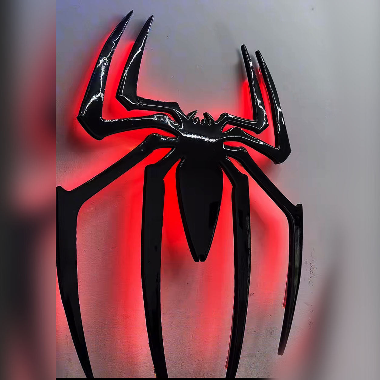 SPIDER - 60X40 CM