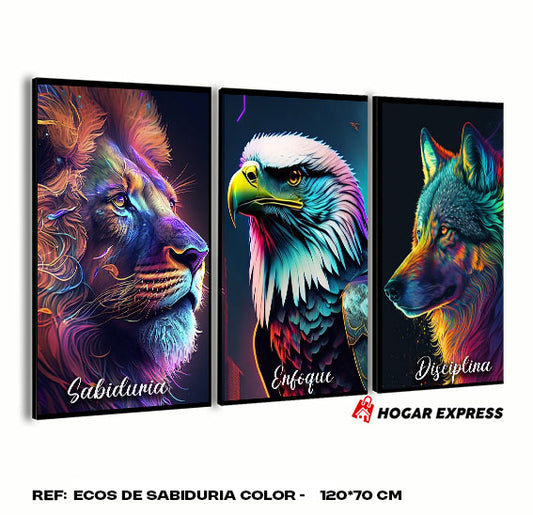ECOS DE SABIDURIA COLOR